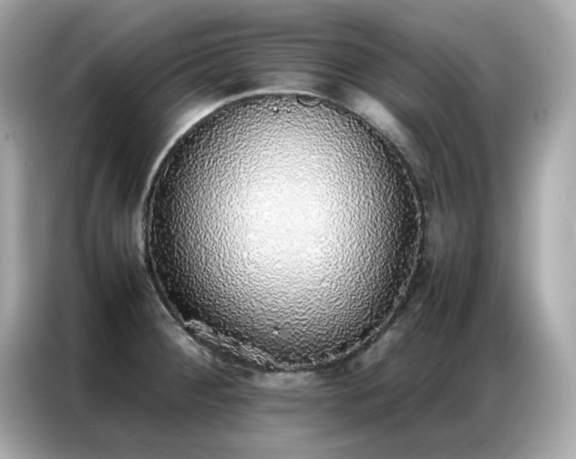 X0000087061284200704181250