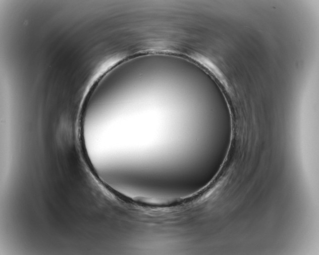 X0000087061285200704181250
