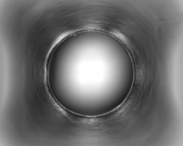 X0000087061286200704181250