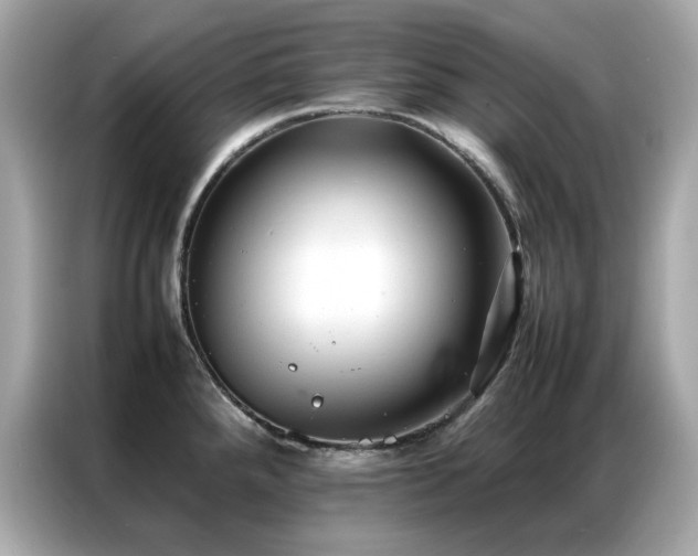 X0000087061288200704181250