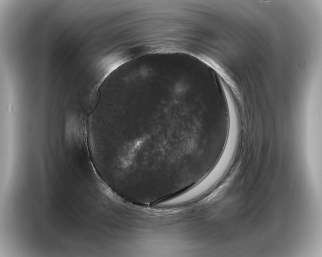 X0000087061289200704181250