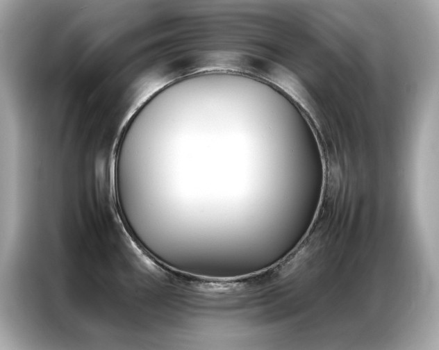 X0000087061290200704181250
