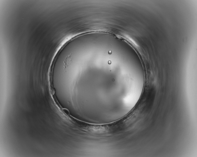 X0000087061291200704181250