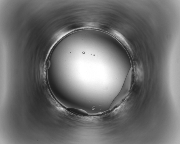 X0000087061292200704181250