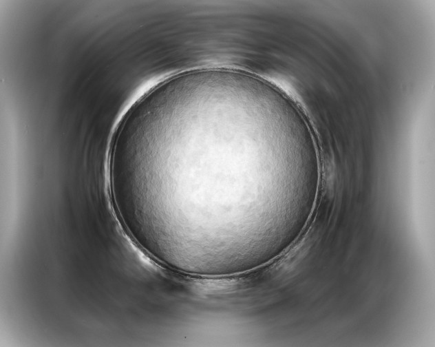 X0000087061294200704181250
