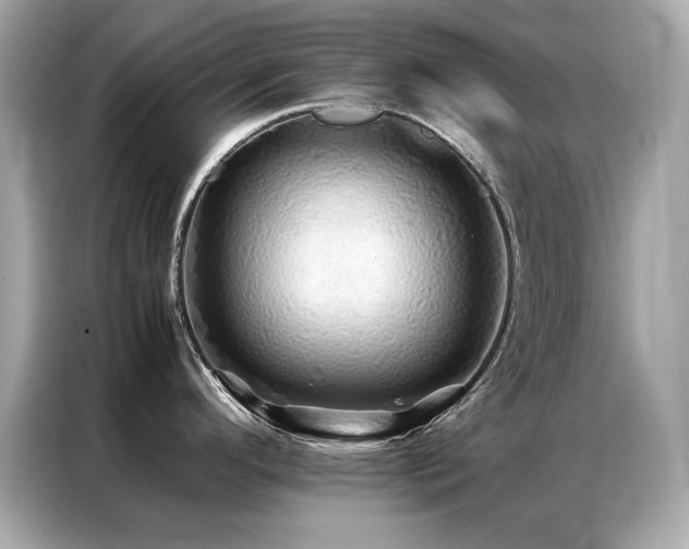 X0000087061296200704181250
