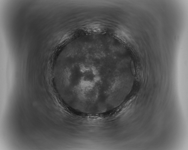 X0000087061297200704181249