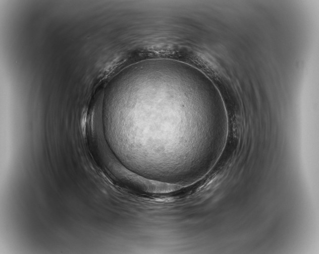 X0000087061298200704181249