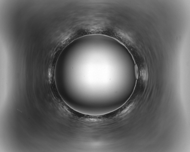 X0000087061300200704181250