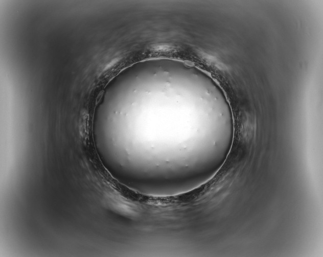 X0000087061301200704181250