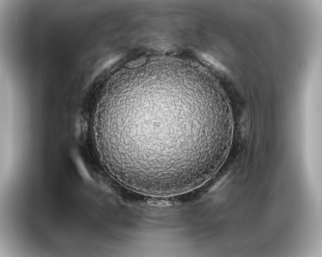 X0000087061302200704181250