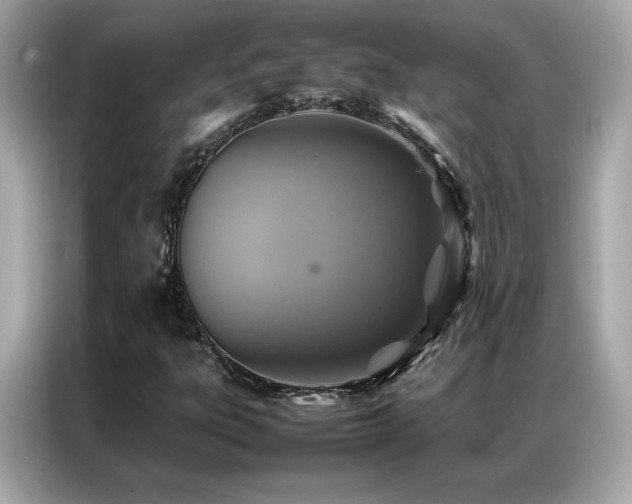 X0000087061303200704181250