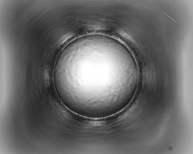 X0000087061305200704181250