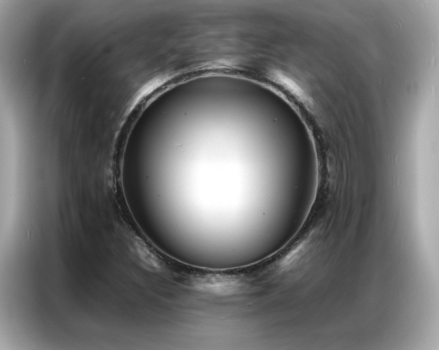 X0000087061308200704181250