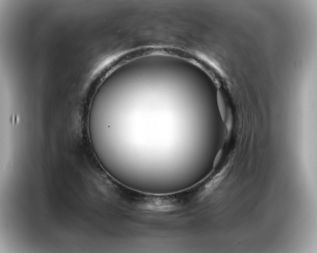 X0000087061311200704181250