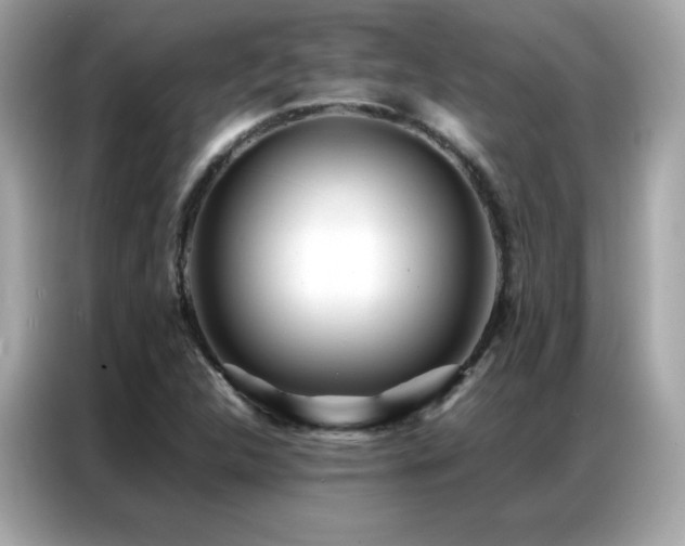 X0000087061312200704181250