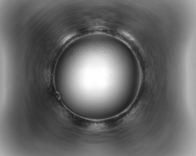 X0000087061313200704181250