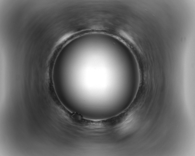 X0000087061315200704181250