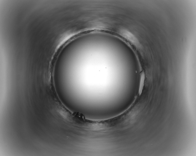 X0000087061316200704181250
