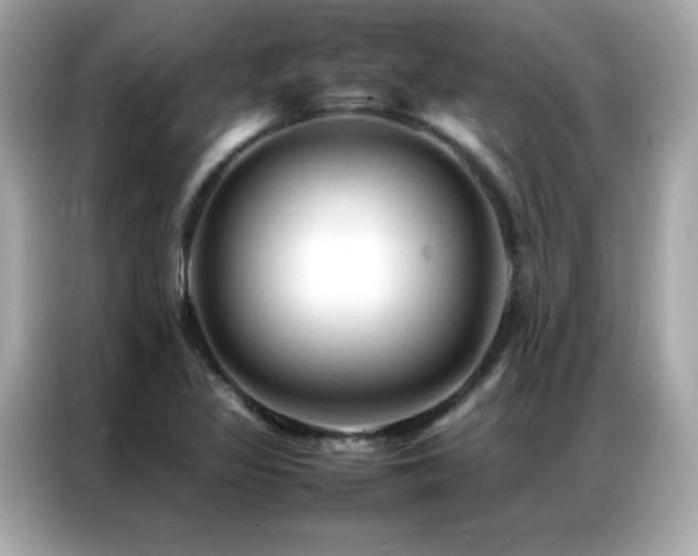 X0000087061317200704181250