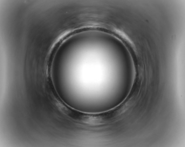 X0000087061318200704181250