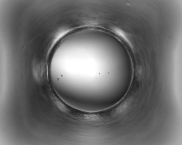 X0000087061320200704181250