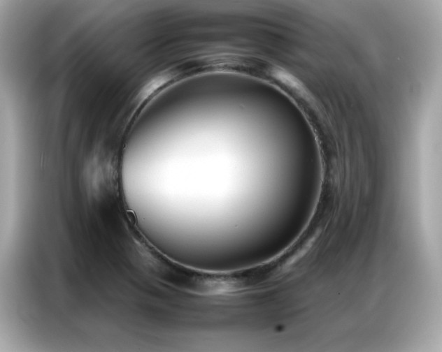 X0000087061321200704181250