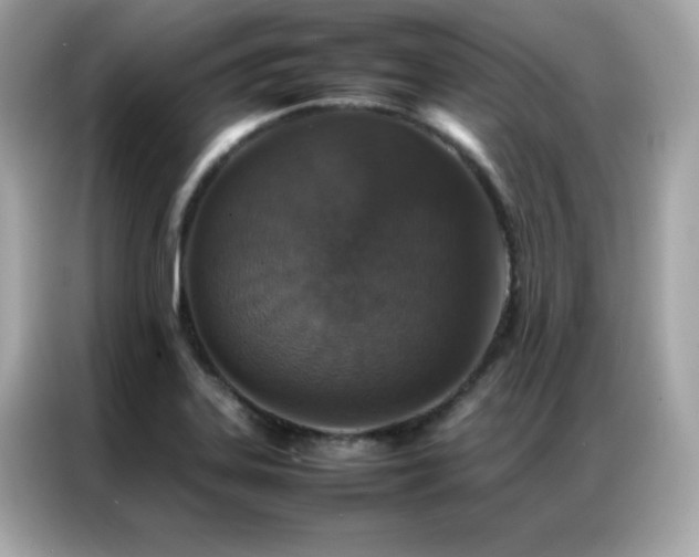 X0000087061323200704181250