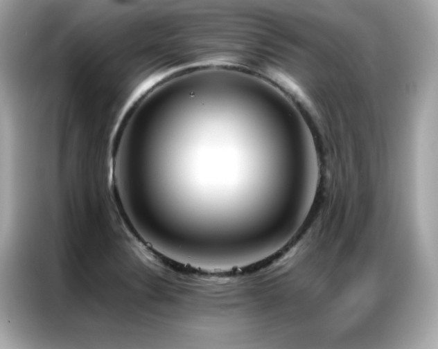 X0000087061324200704181250