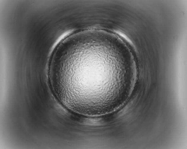 X0000087061325200704181250