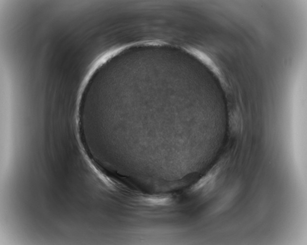 X0000087061327200704181250