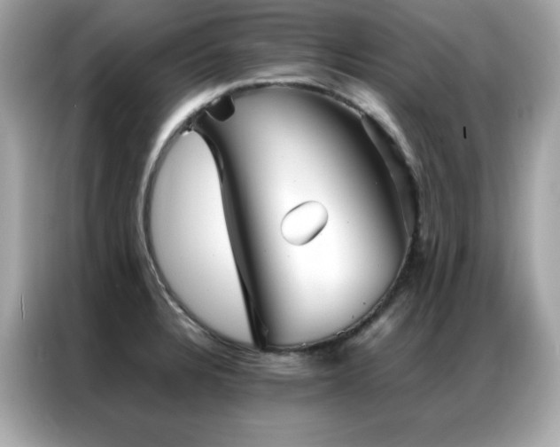 X0000087061328200704181250