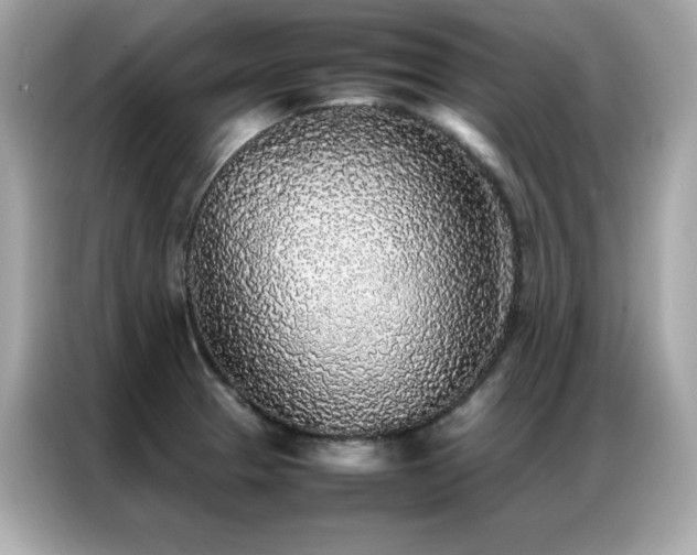 X0000087061329200704181250