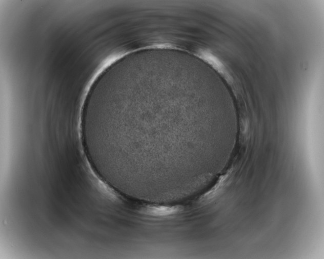 X0000087061331200704181250