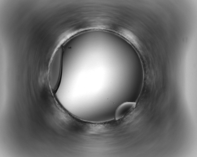 X0000087061332200704181250