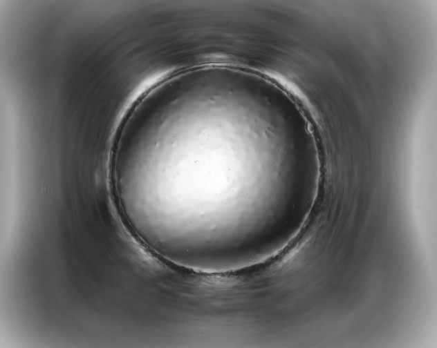 X0000087061333200704181250