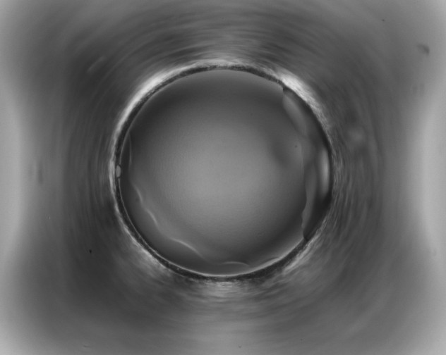 X0000087061334200704181250