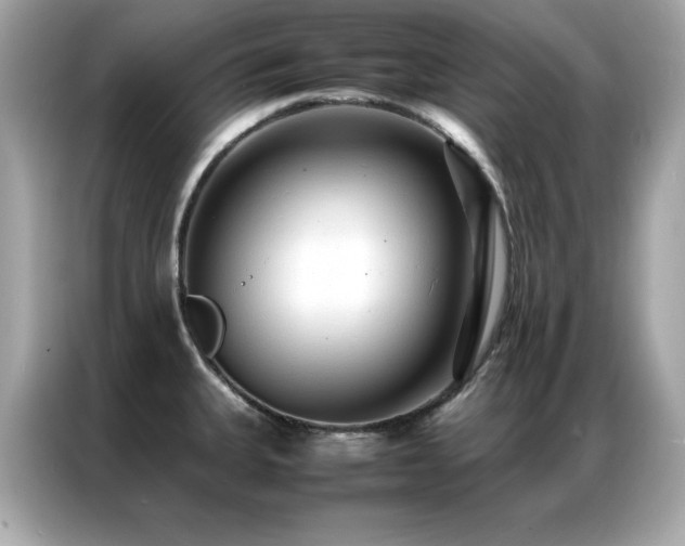 X0000087061335200704181250