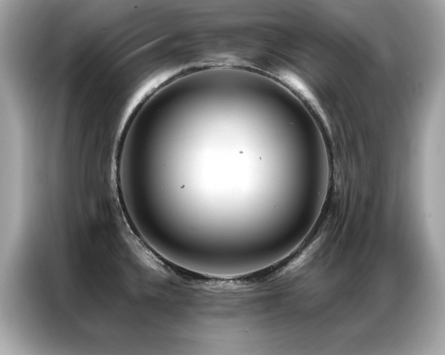 X0000087061336200704181250