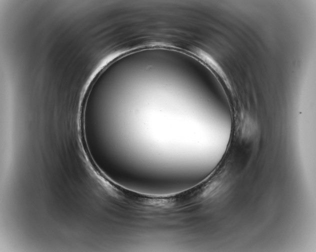 X0000087061339200704181250