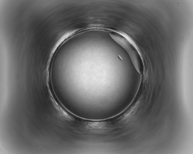 X0000087061341200704181250