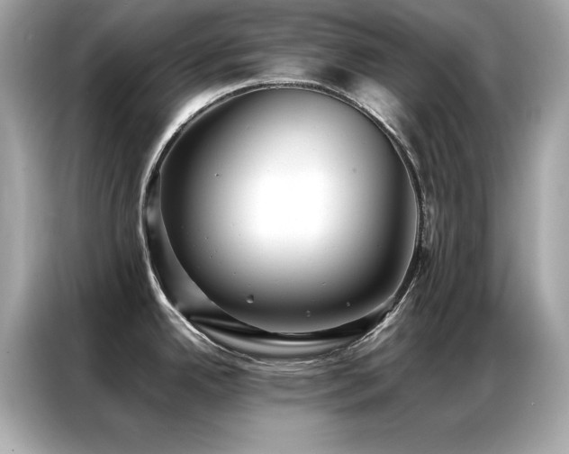 X0000087061342200704181250