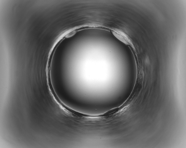 X0000087061343200704181250
