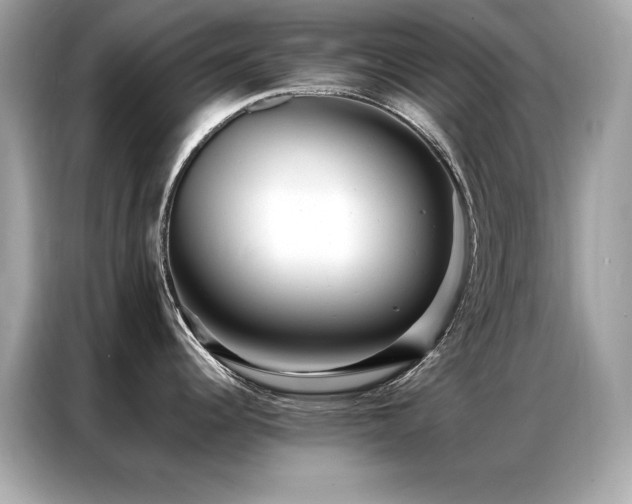 X0000087061344200704181250