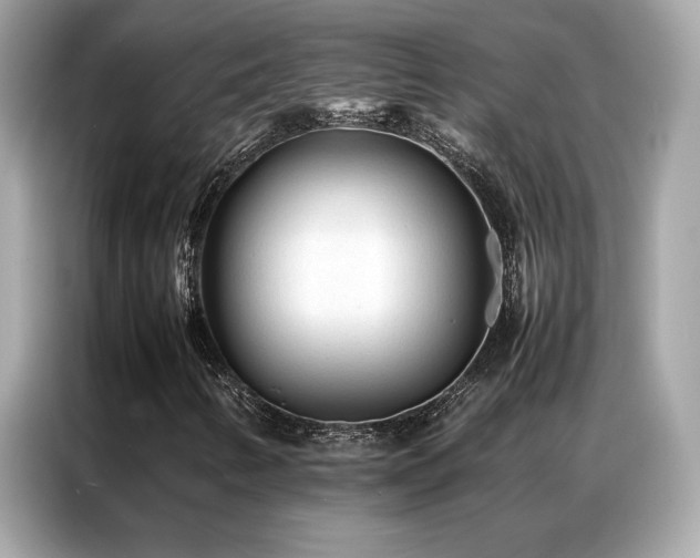X0000087061346200704181249