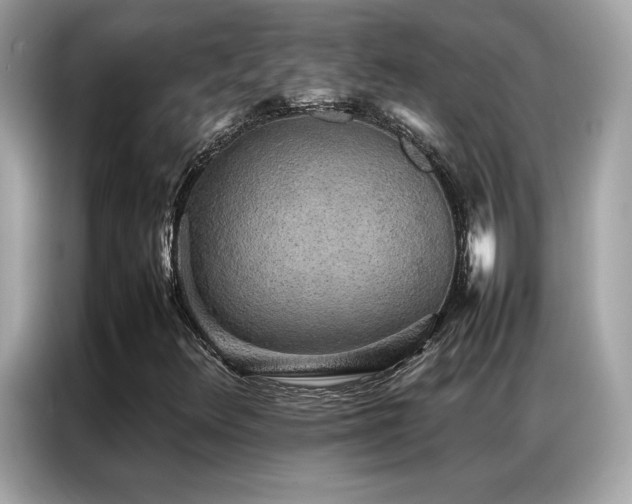 X0000087061348200704181249