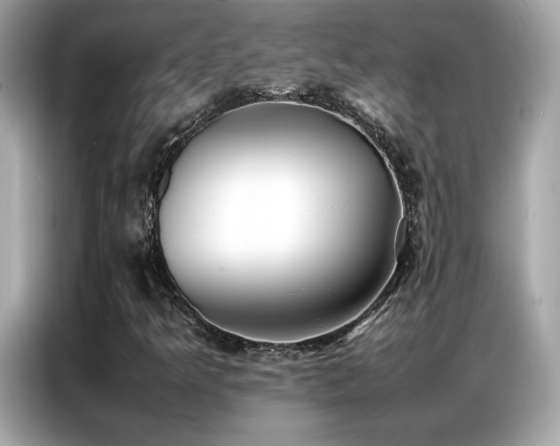 X0000087061349200704181249