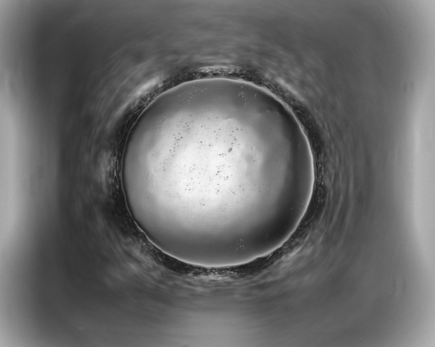 X0000087061351200704181249