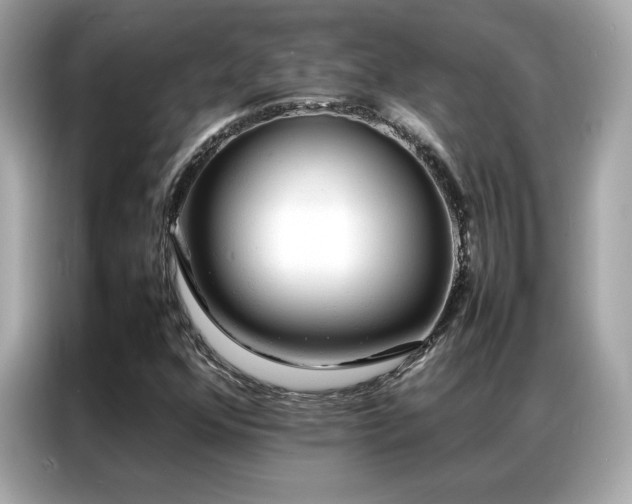 X0000087061352200704181249