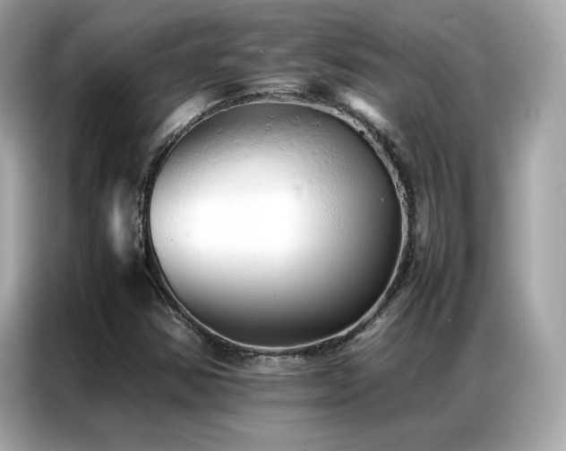 X0000087061354200704181249